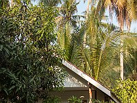 IMG 2296