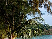 IMG 2298