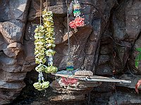 IMG 2312