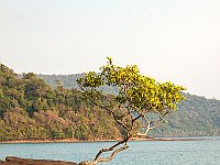 IMG 2313