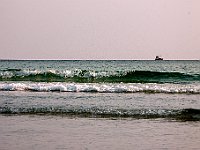 IMG 2319