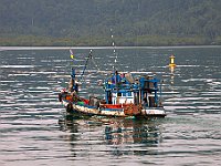 IMG 2353