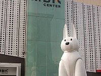 IMG 2367