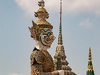 IMG 2414