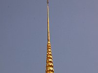 IMG 2424