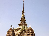 IMG 2428