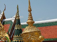 IMG 2435