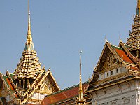 IMG 2449