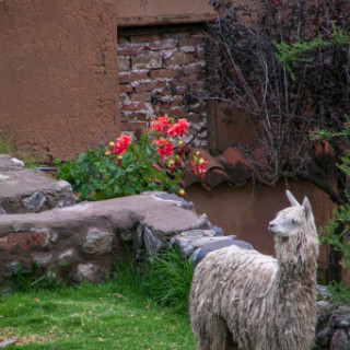 2G5F5797.jpg