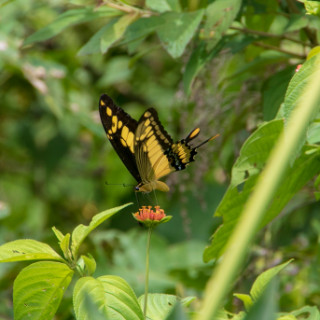 2G5F6009.jpg