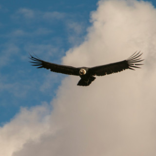 2G5F6212.jpg