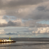 IVK32631