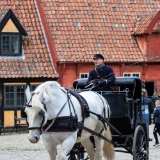 IVK32730