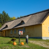 IVK32797