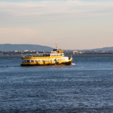 IVK31970