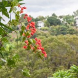 IMG 4149