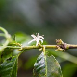 IMG 4154