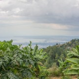 IMG 4167